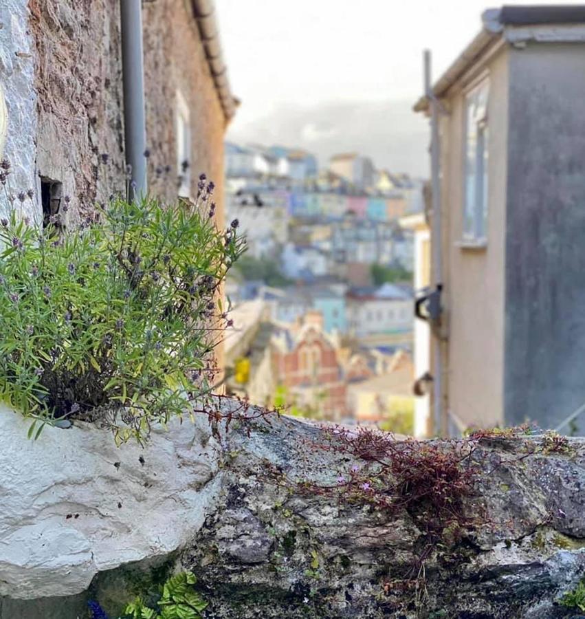 Saltys Cottage, Brixham - 2 Min Walk To The Harbour Eksteriør bilde